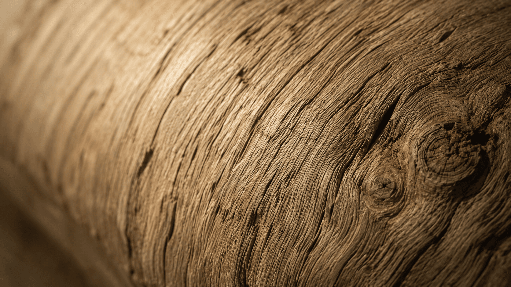Timber — traditional lime plastering material